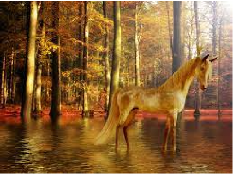 Horses
