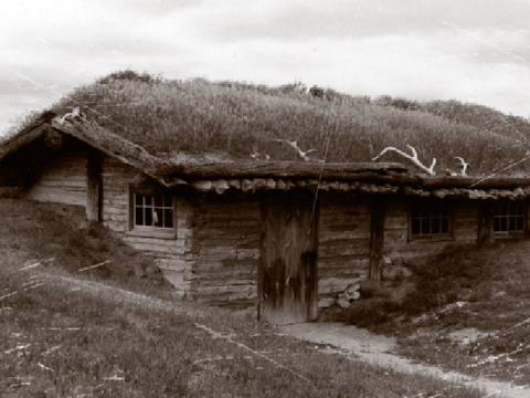 The trading post