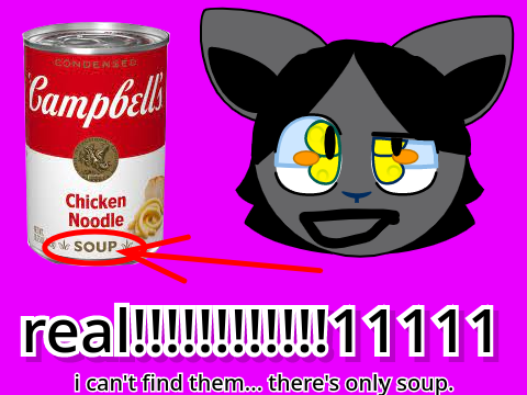 Soup Store remix 
