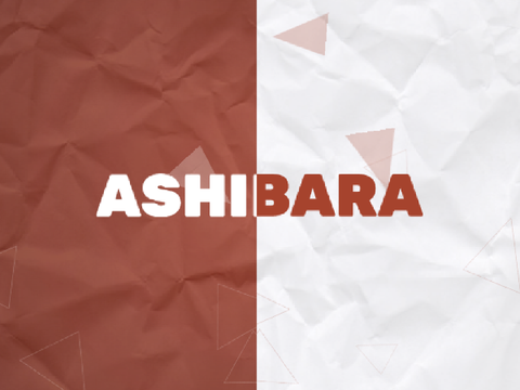 Plzntro for Ashibara_Art