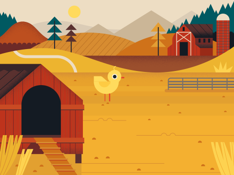 Pet the Chick!