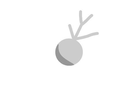 SIlver Spider animation test