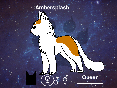 Warriors  :  New Generation Bio Ambersplash