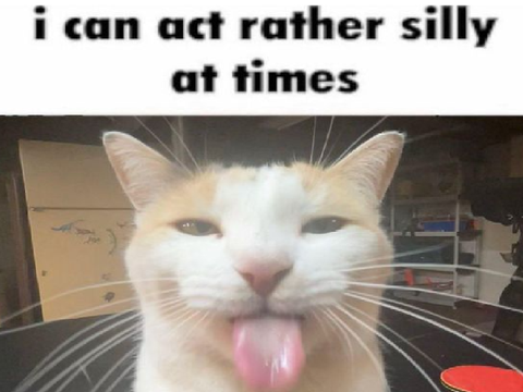 .