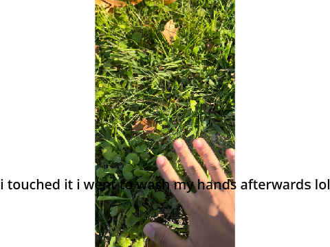 hand reveal and touching grass lol