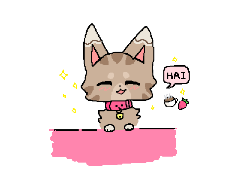 Coffee || *NEW BEAN*