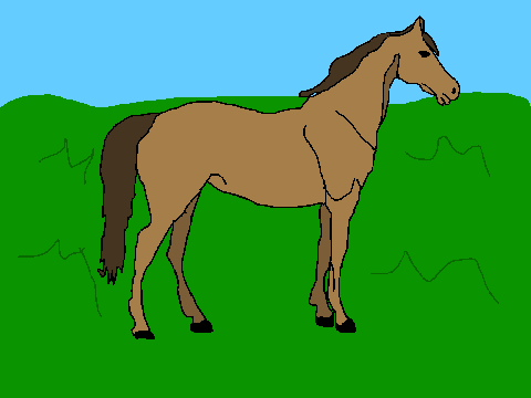 Horse CC Entry!