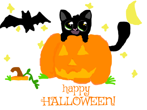 Kitty in a pumpkin