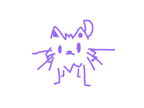 a cat