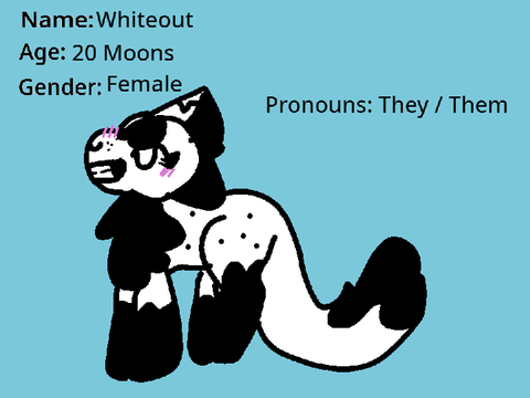 Mossclan Medcat: Whiteout
