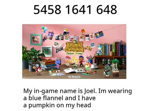 Pocket Camp Friend Code