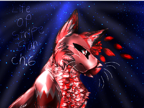 entry :')