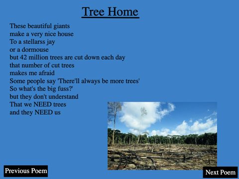My Earth Poems