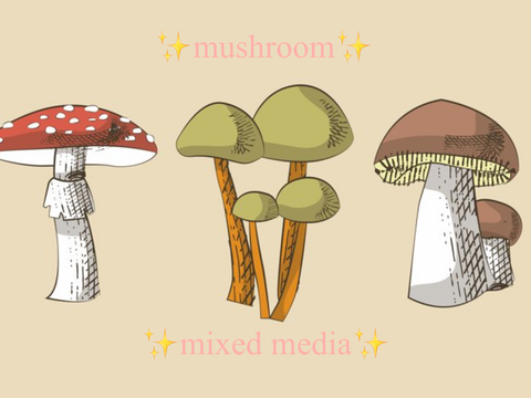 ✨Mushroom Mixed Media✨