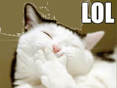 funny pics compilation