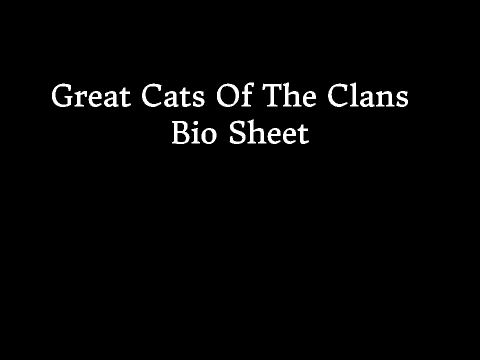 Great Cats Of The Clans Bio Sheet