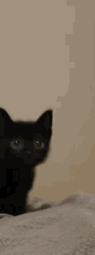  ᵇᵃᵈ