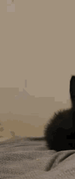 ⁿᵒᵗ 