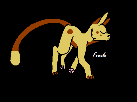 Final Female Design