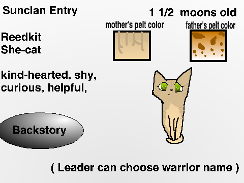 Sunclan Entry - Reedkit