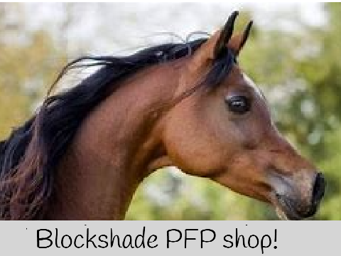 Blockshade PFP shop