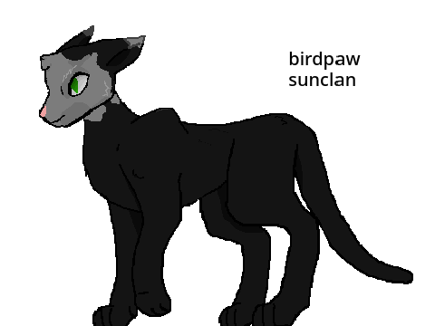 Birdpaw of Sunclan