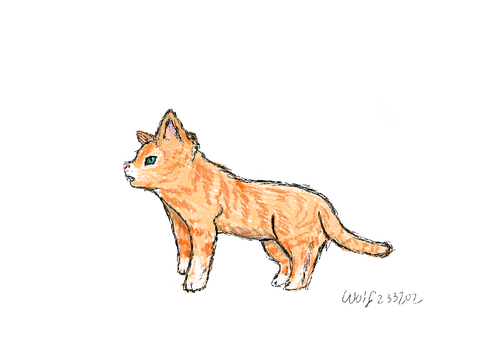 Old but I like-Cat