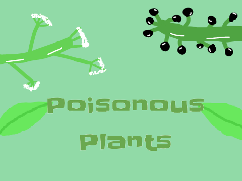 Poisonous Plants Thumbnail
