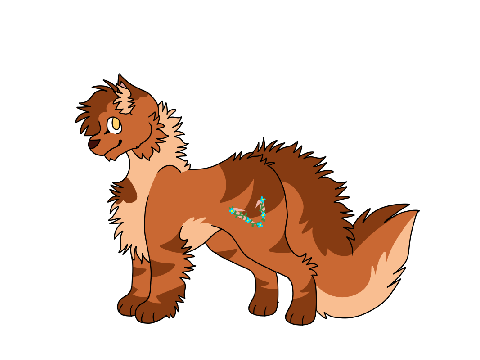snailpaw
