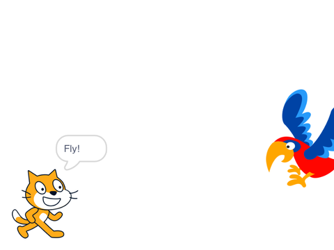 The parrot and the cat