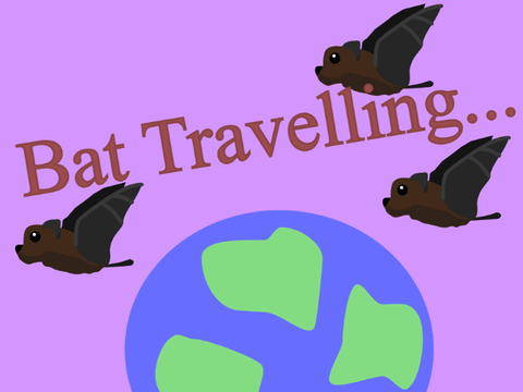 Bat Travelling...