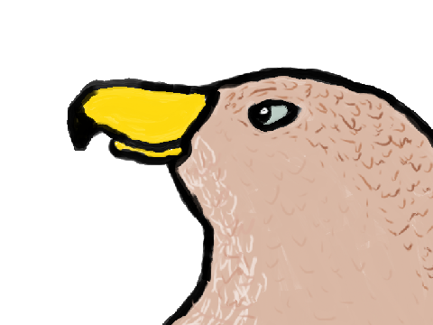 Eagle of the Skies