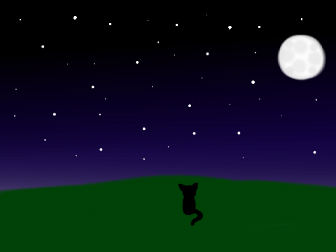 Night Scene