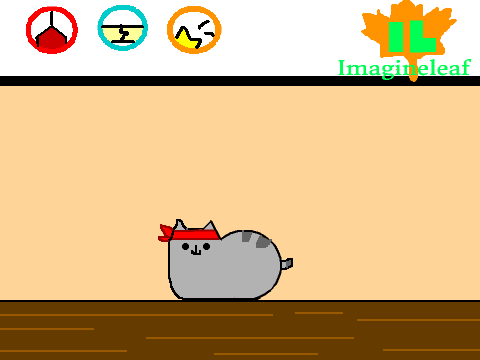 Pusheen the Ninja Cat!