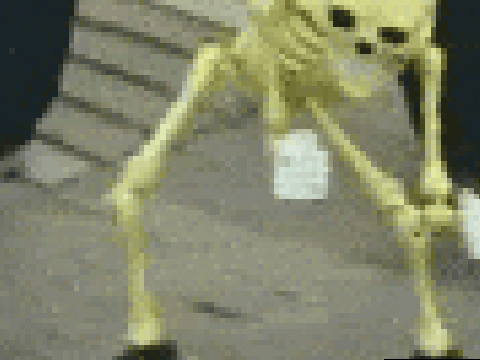 SPOOKY SCARY SKELETONS