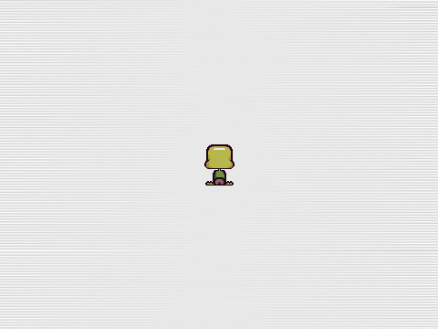 Petscop Test