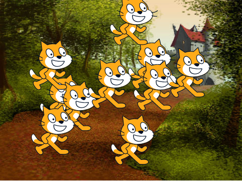 Adopt cat