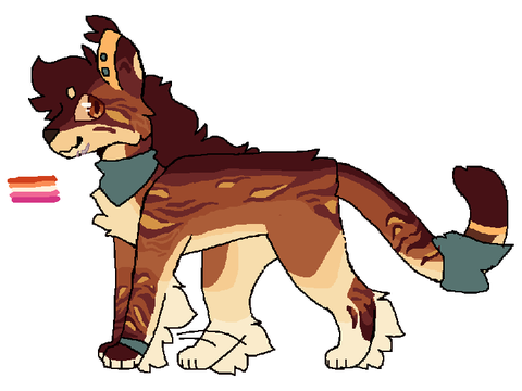colors for pidge