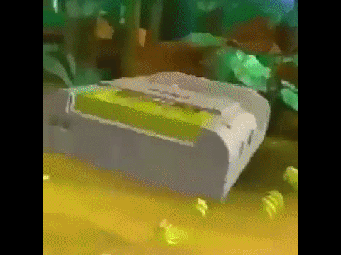 oh these are pretty cool bananas remix