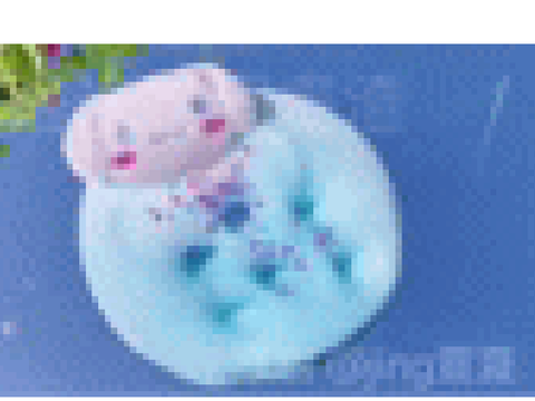玉桂狗 史萊姆素材