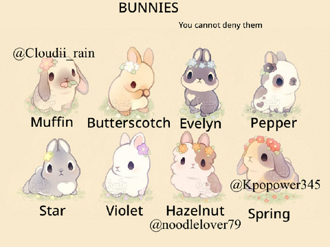 Bunny Adoption