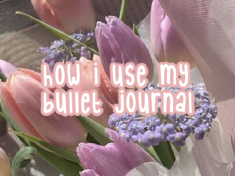↳ how I use my bullet journal [oct. ver.]