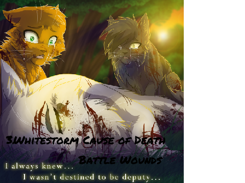 Top Ten Saddest Warrior Cat Deaths 2