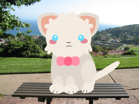 My cat