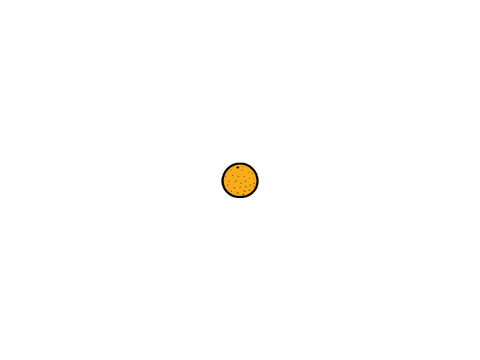 Oranges