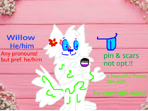 Willow || REF SHEET