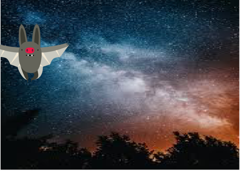Bat in the night