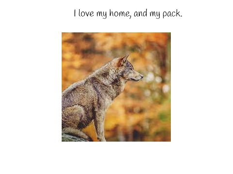 Sign To Stop Wolf Hunting: remix remix remix!!!! :) remix remix remix remix