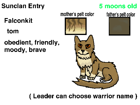 Sunclan Entry - Falconkit