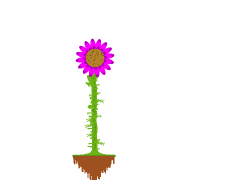 pen flower